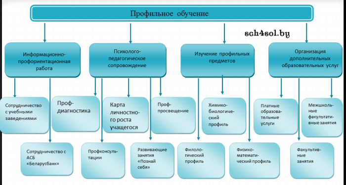 Особенности профильных классов. Профильное обучение. Профильное образование в школе. Профильные направления в школе. Направления профильных классов в школе.